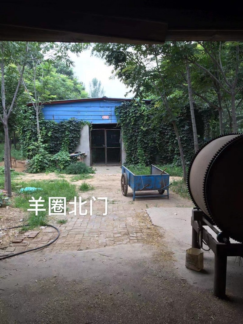 .出租土地，出租羊圈。 可养殖，可种植，面积大，水电设备齐全。 配套完善，有住房（第 5 张）
