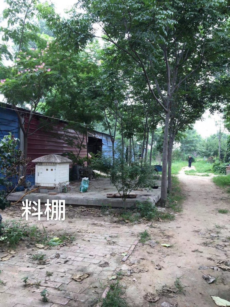 .出租土地，出租羊圈。 可养殖，可种植，面积大，水电设备齐全。 配套完善，有住房（第 7 张）