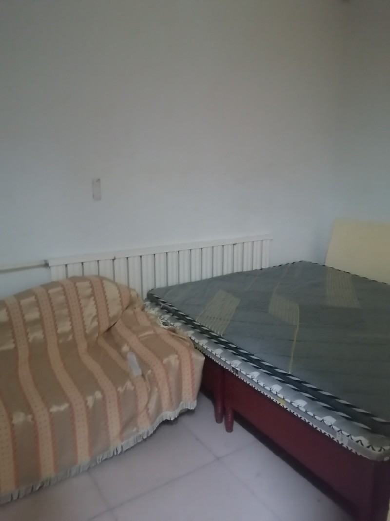 施庄村教堂附近独院出租水电齐全家有家具拎包入住联系方式（第 2 张）