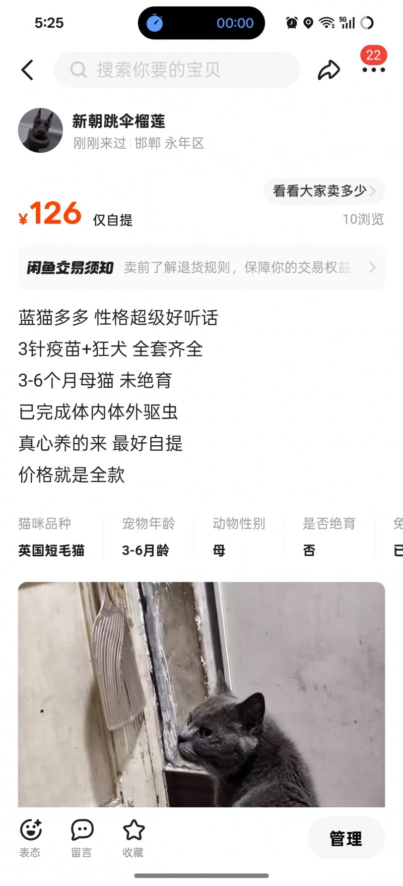 蓝猫多多 性格超级好听话，160，有需要联系，最好自提（第 2 张）