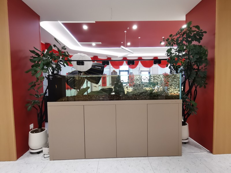 总经理助理（第 3 张）
