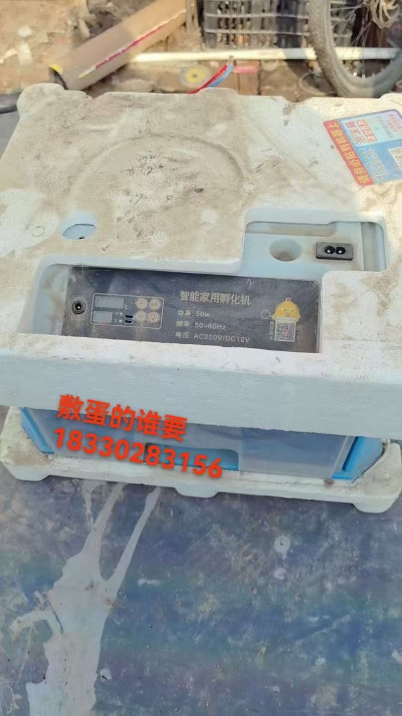 遮阳网，敷蛋机器出售（第 2 张）