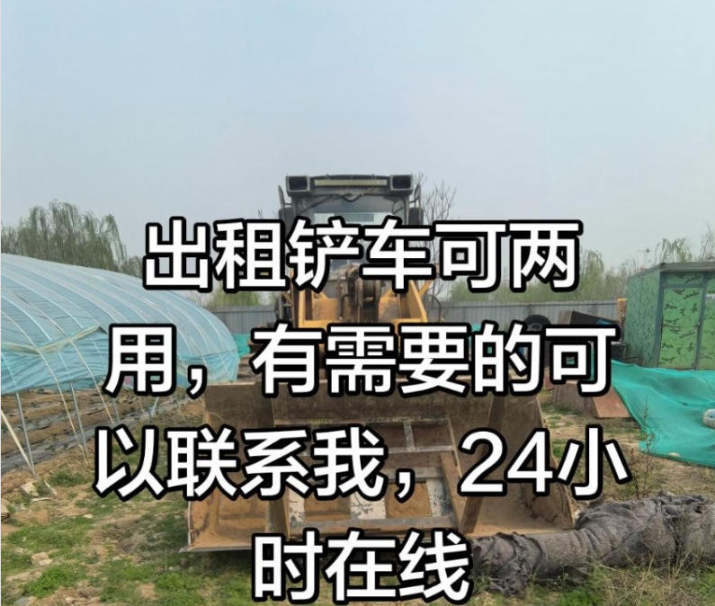 出租:铲车可两用，可以救援12V和24V电瓶没电的车辆（第 1 张）