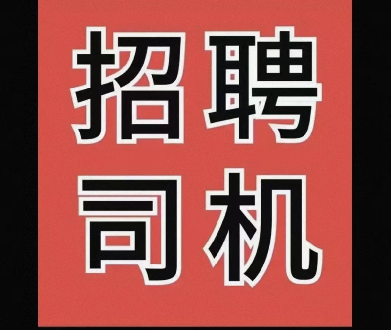 B2司机（第 2 张）