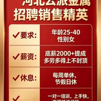 销售精英（第 1 张）