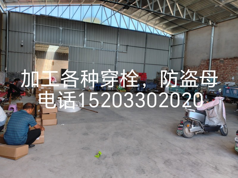 常年加工膨胀栓，防盗母。（第 1 张）