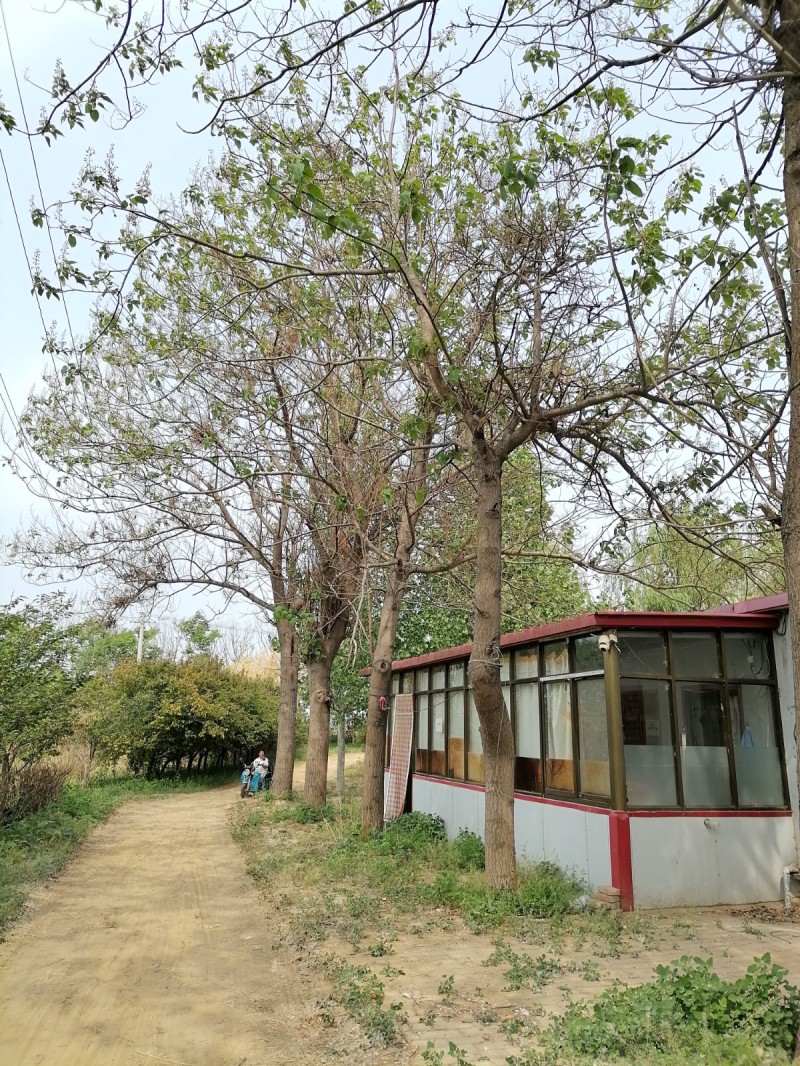 出租，厂房和仓库，交通便利，水电齐全
位置：邯郸市永年区正西乡政府东侧郑湾新民（第 1 张）