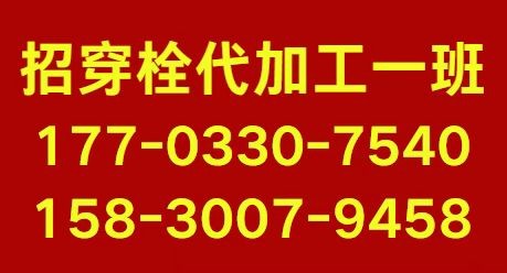 代穿膨胀栓（第 1 张）