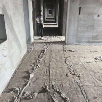 门市出租 
本楼房4层，出租800平方。可整租可分租。出租范围，民房、公寓、宾（第 6 张）