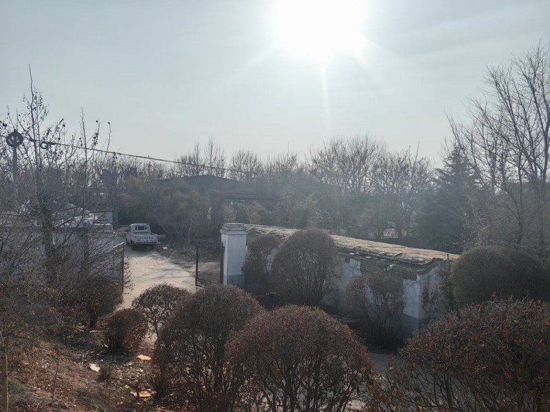107国道七里店村南，露禅大桥南侧路东，土地面积9亩多带绿化(房屋9间，大棚2间（第 1 张）