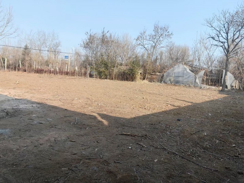 107国道七里店村南，露禅大桥南侧路东，土地面积9亩多带绿化(房屋9间，大棚2间（第 5 张）
