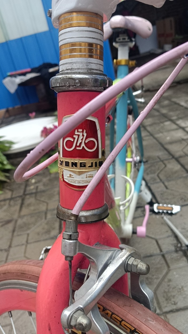 永久自行车腾地方￥99出，适合中大童以及成人骑行（第 2 张）